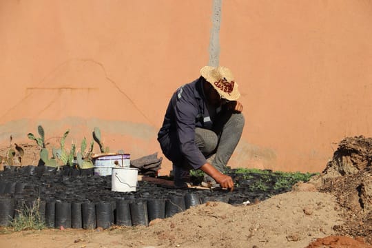 Person planting seeds
