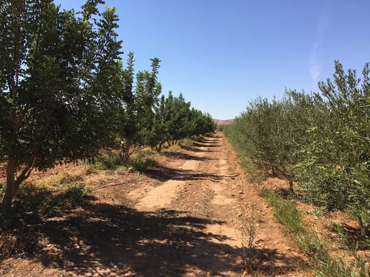 Photo 2024 10 01 14 46 06