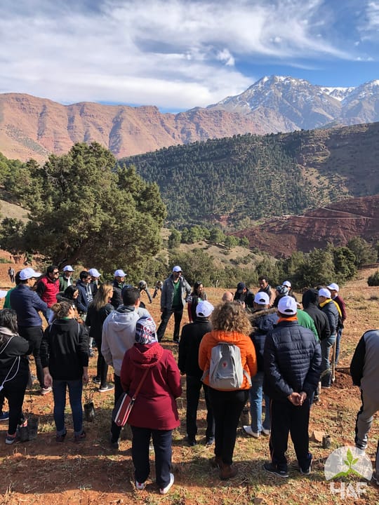 Volunteers listening to haf member speak
