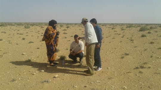 people talking in an open field
