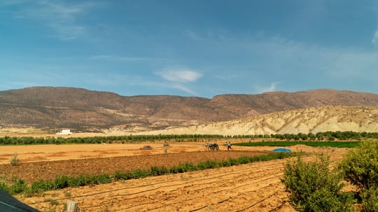 DSC03405