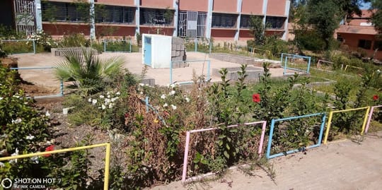 Ecosia1