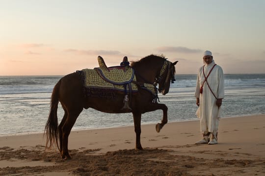 Fantasia cavalier and his horse