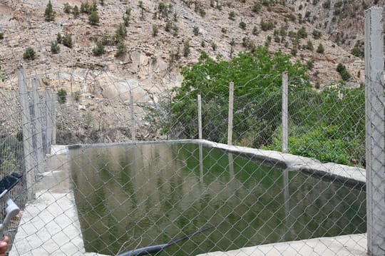IMG 0035