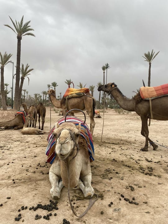 Maroc