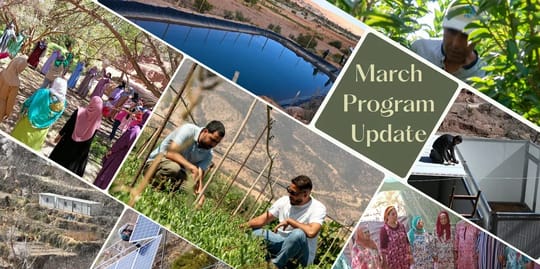 Newsletter 1