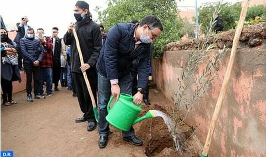 THE HIGH ATLAS FOUNDATION INAUGURATES THE SOLAR IRRIGATION SYSTEM IN THE AKRICH NURSERY