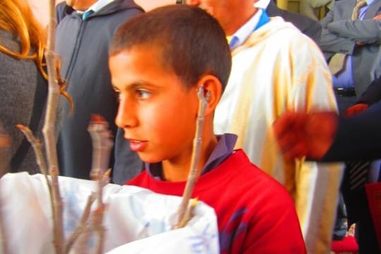 The High Atlas Foundation Clinton Global Initiative Tree Planting in Tomsloht Commune Akrich Village Al Haouz Province Marrakech