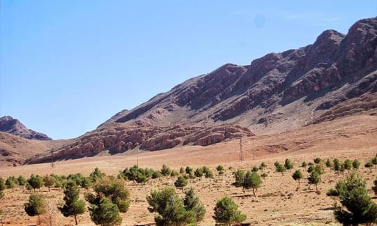 1 Milliard Arbres