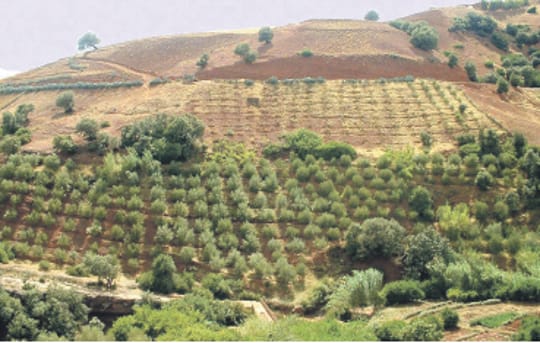Al haouz