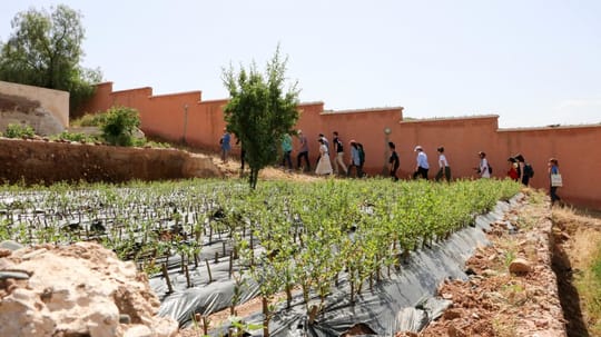 Marrakech 1024x575