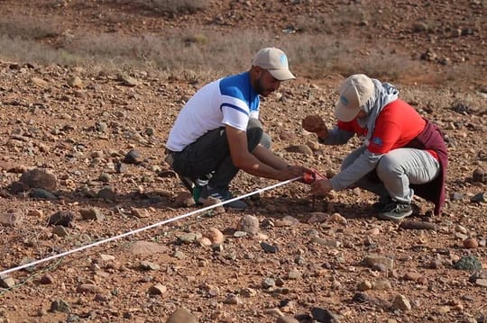 Planting