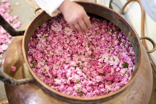 Roses