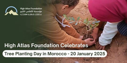 Tree planting01