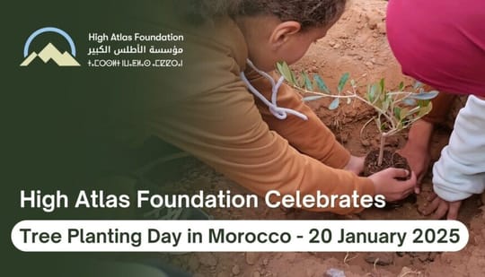 Tree planting01