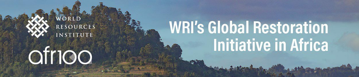 The Future Of Land Restoration In Africa From Billions Of Dollars To The Future Of Land Restoration In Africa From Billions Of Dollars To